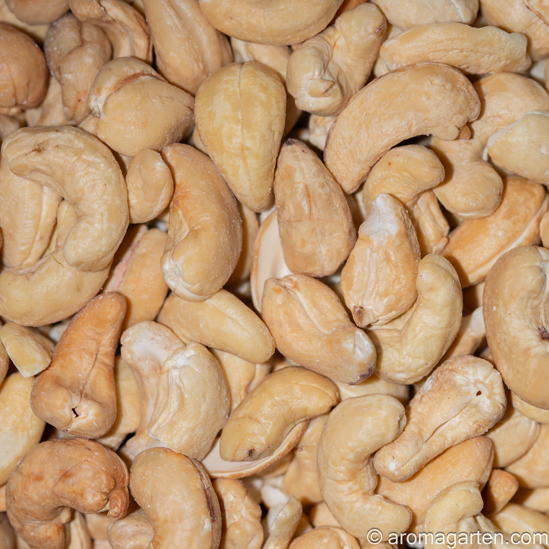 Cashewkerne, geröstet