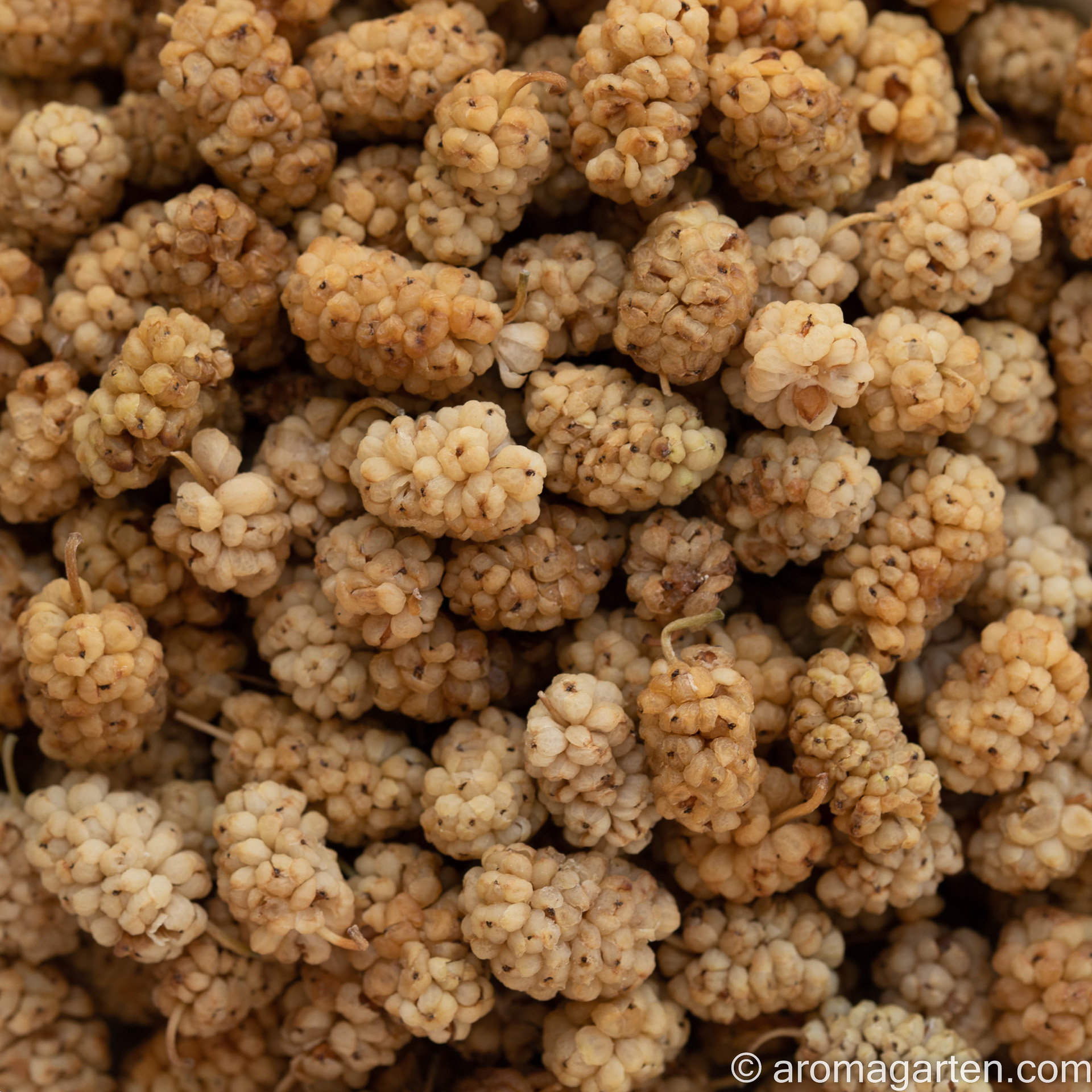 Maulbeeren