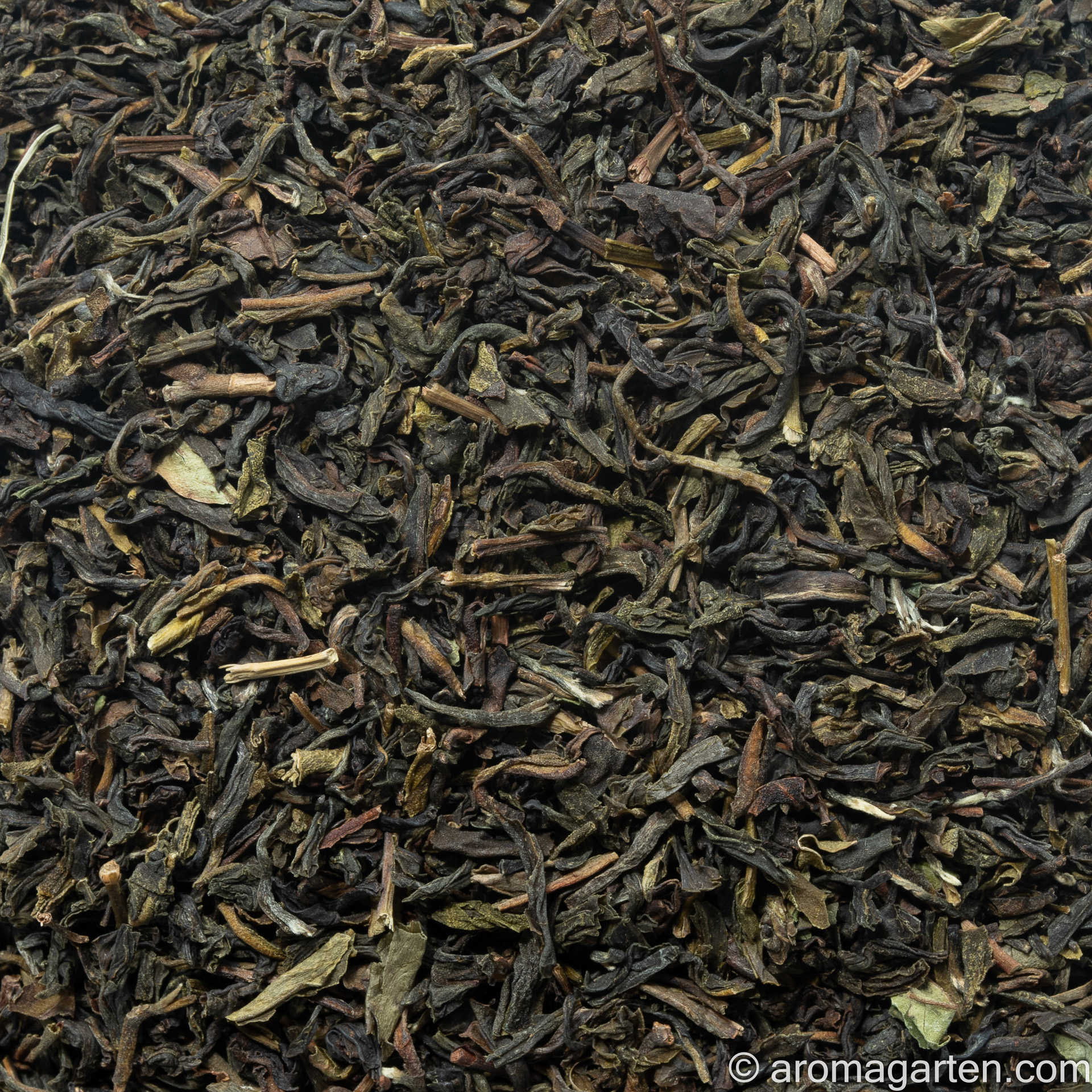 Darjeeling Saisonaktion