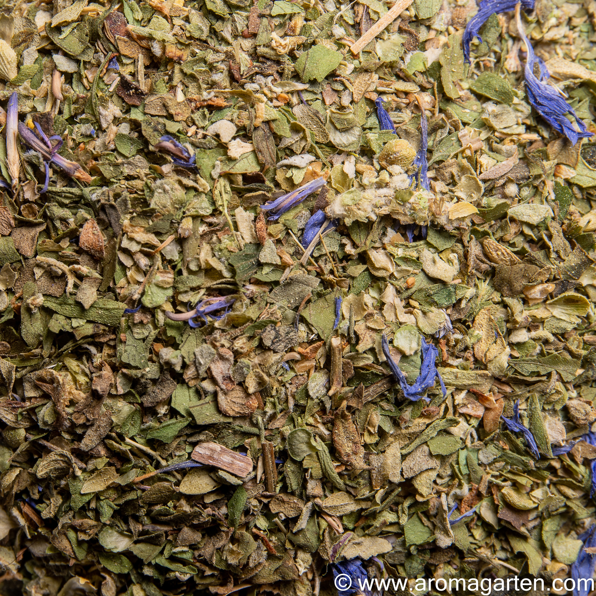 Sommersalatkräuter