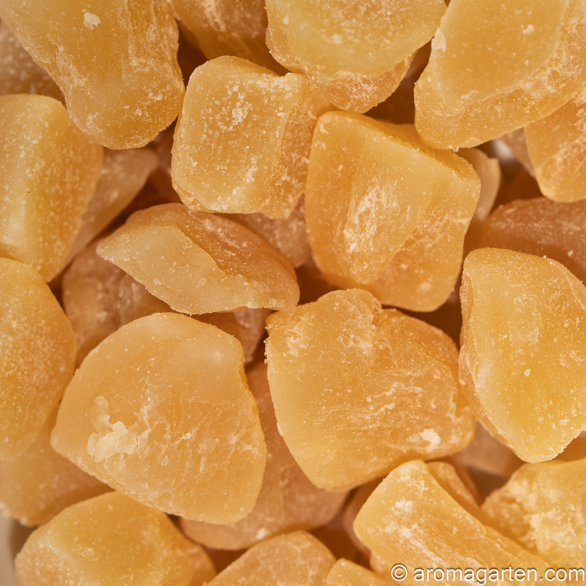 Ingwer Ginger Baby