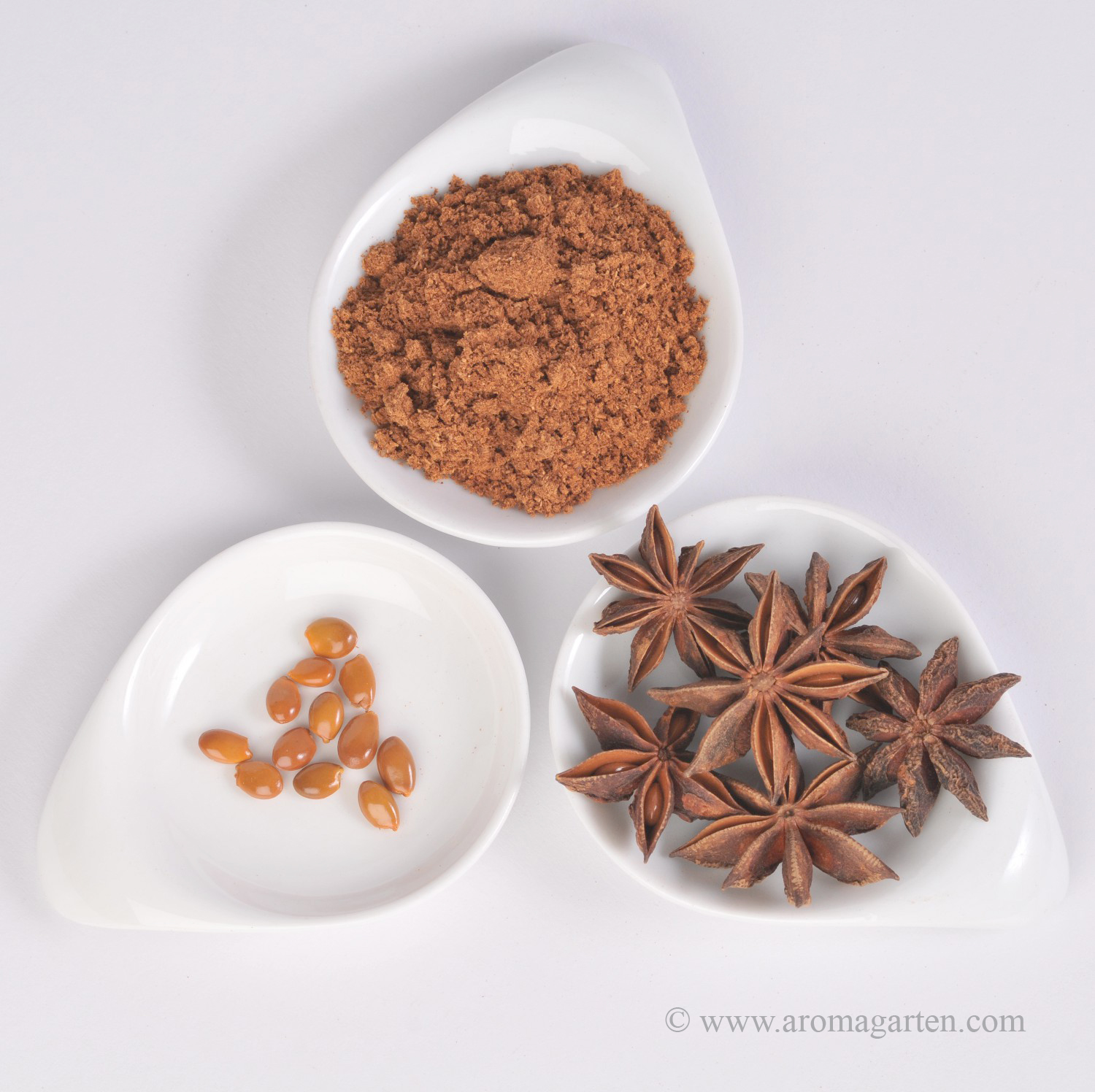 Sternanis