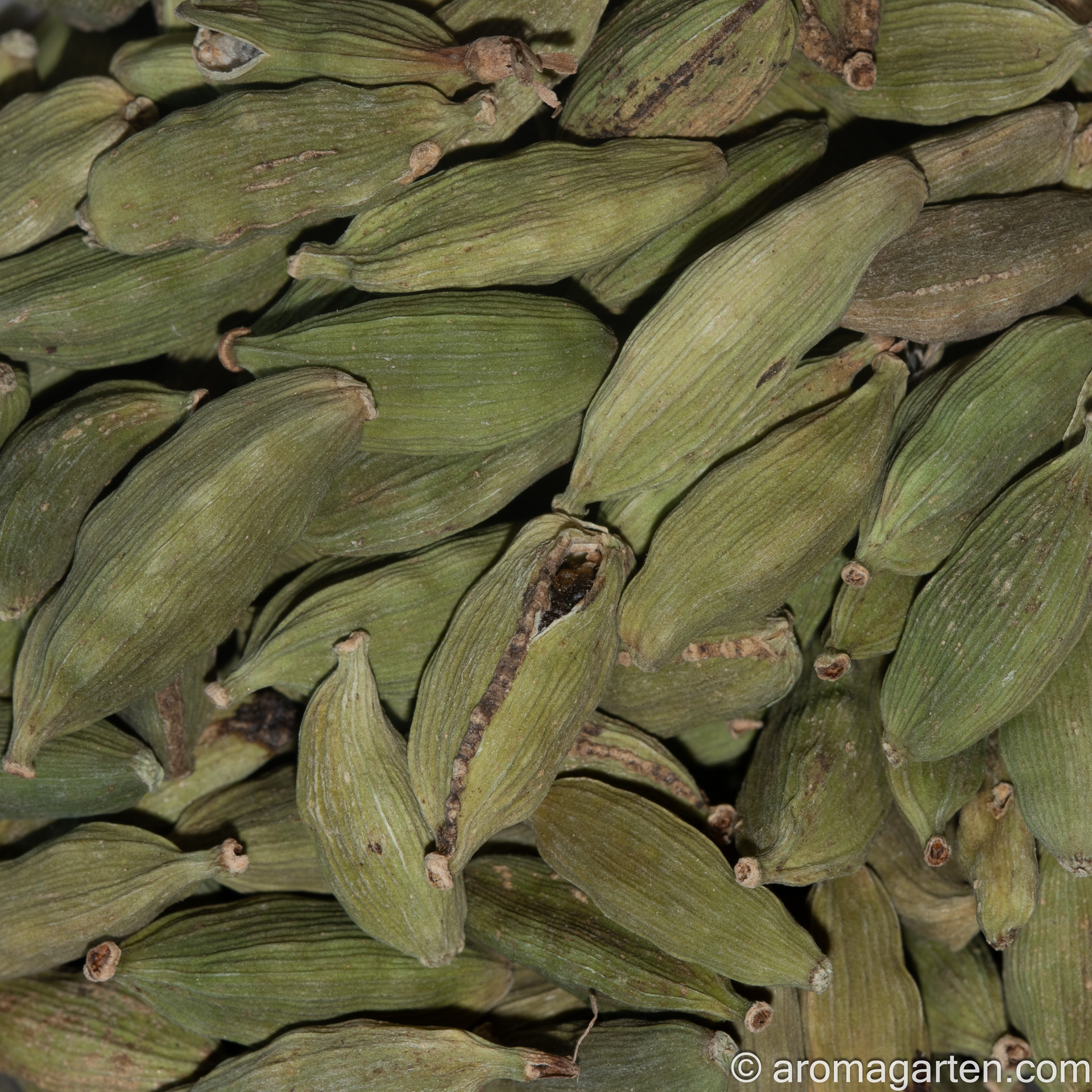 Cardamomkapseln, grün