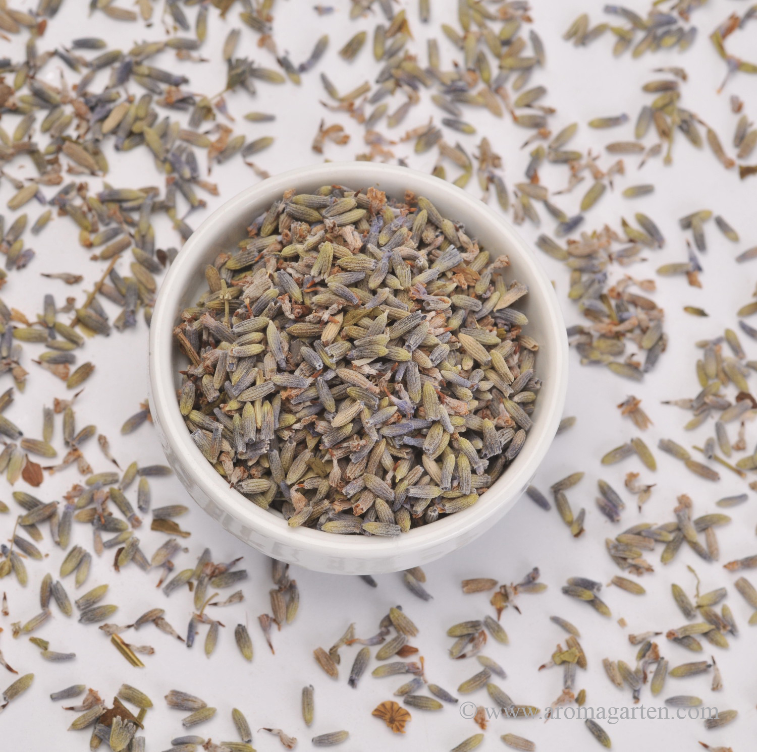 Lavendel kaufen