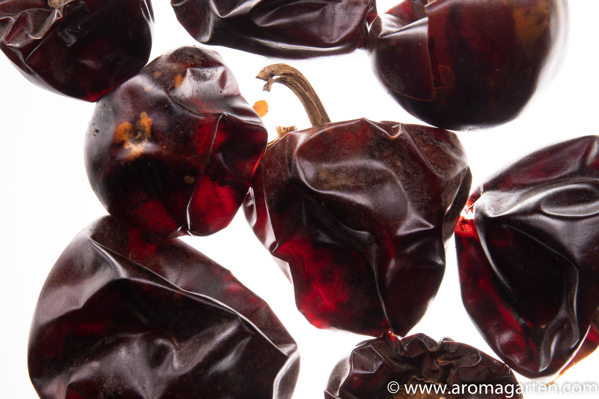 Chili Cascabel