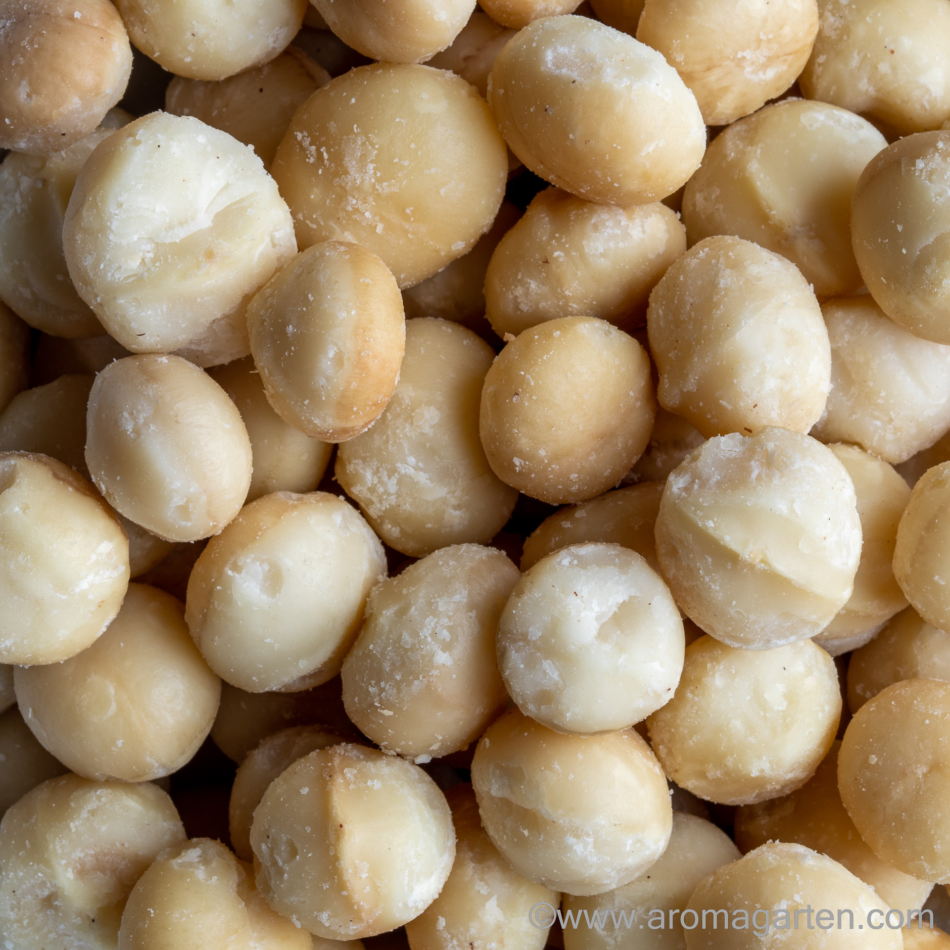 Macadamianusskerne