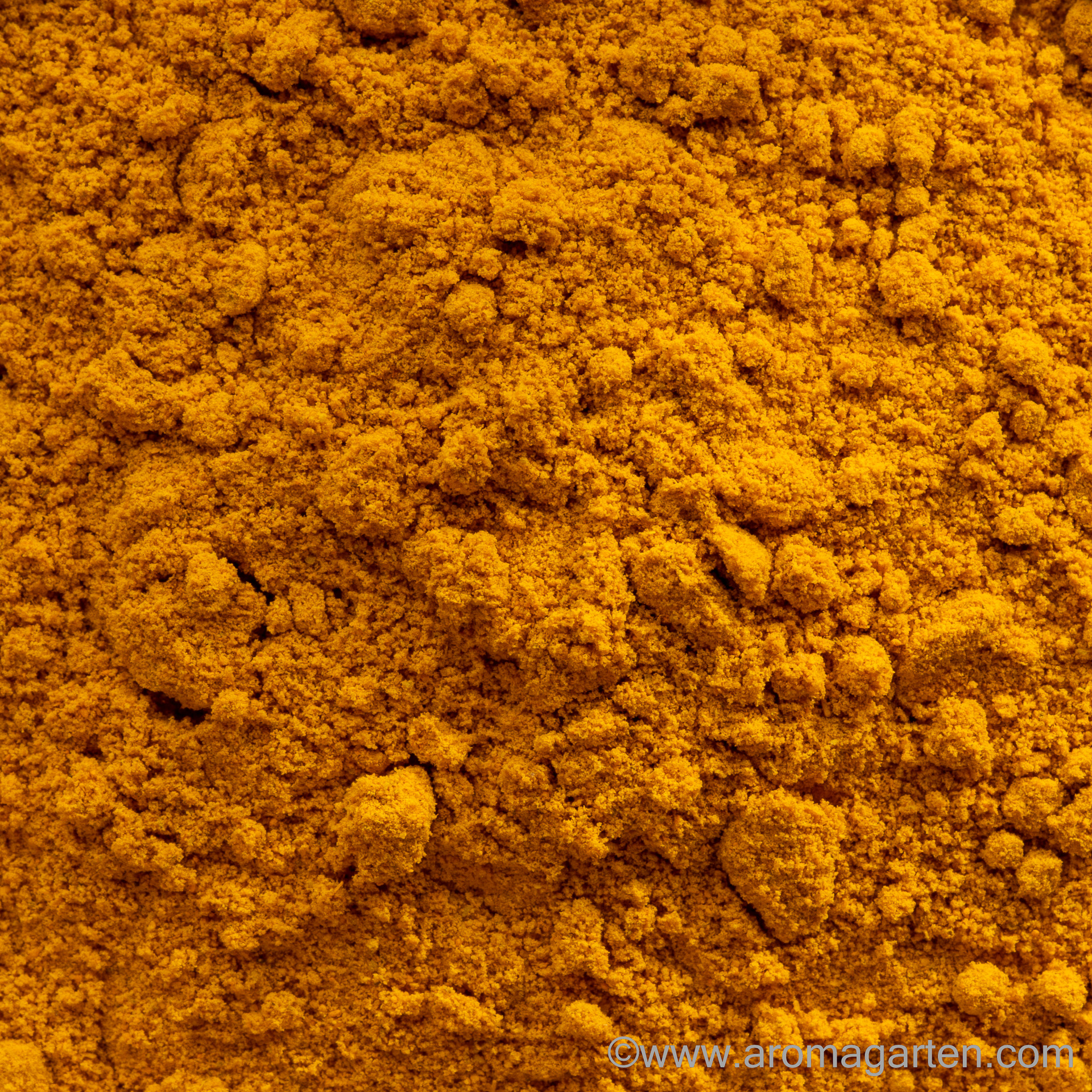 Kurkuma/ Curcuma