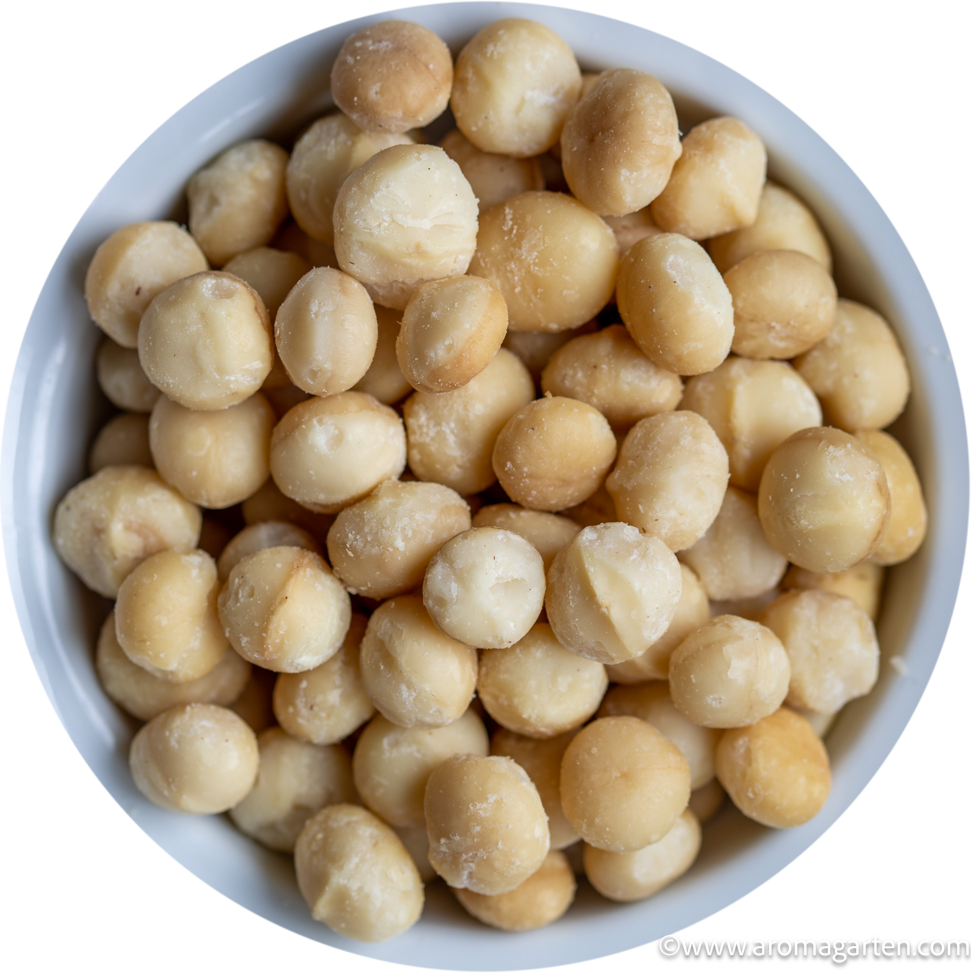 Macadamianusskerne