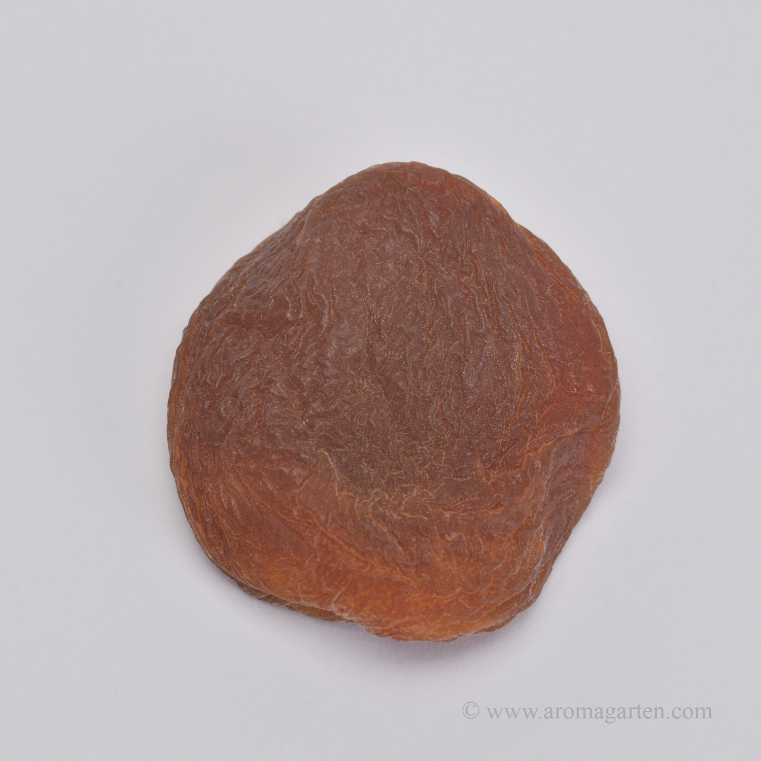 Trockenfrüchte Aprikosen