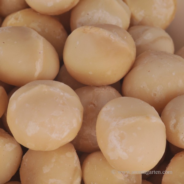 Macadamia Nüsse ungesalzen