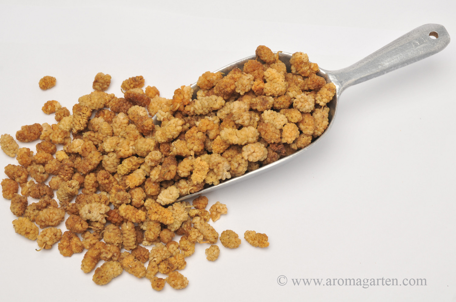 Bio Maulbeeren kaufen Natürlicher Aromagarten