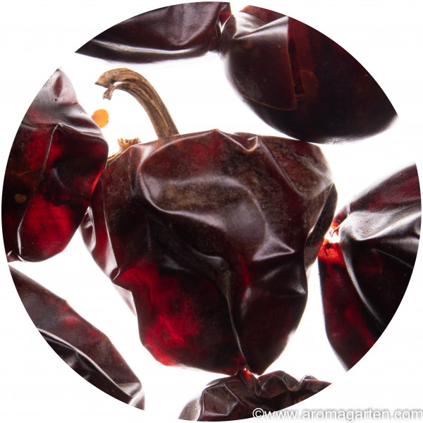 Chili Cascabel kaufen