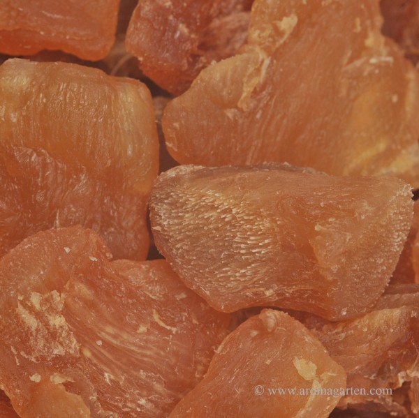 Ingwer mit Fruchtzucker