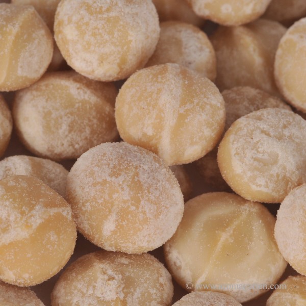 Macadamia