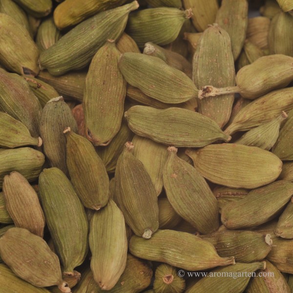Cardamomkapseln