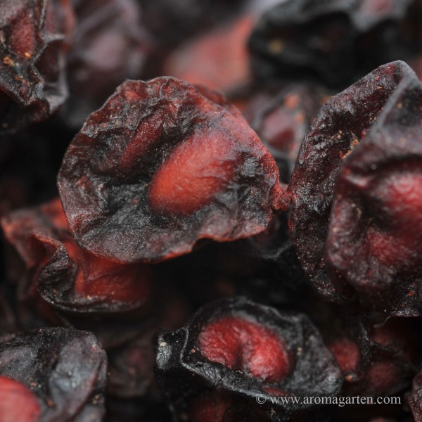 Schisandra-Beeren
