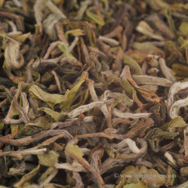 Darjeeling Singbulli kaufen