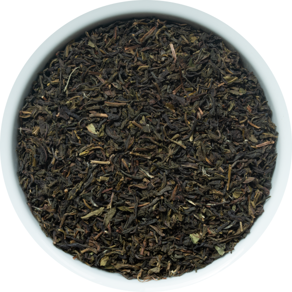 Darjeeling Saisonaktion