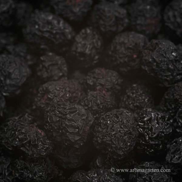 Aronia